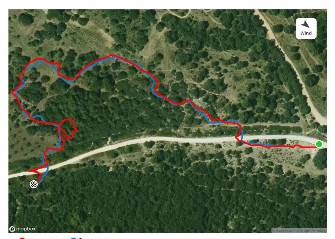 Carte montrant en bleu le trajet de la personne cachée et en rouge la recherche menée par le chien lors d’un atelier de mantrailing